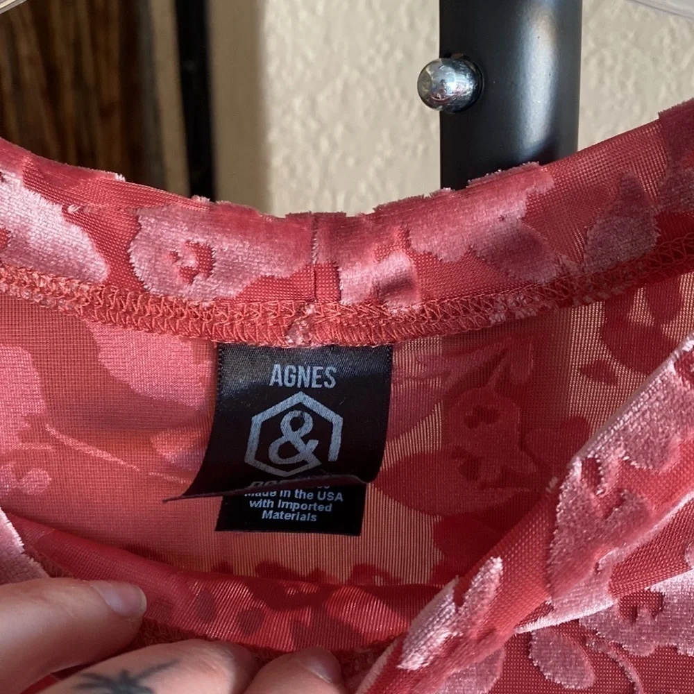 Agnes and Dora/ Blush Velvet Floral Sheer Crop Top - Picture 4 of 5
